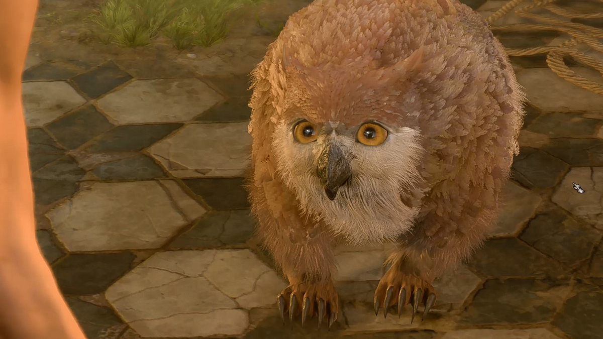 How to Get the Owlbear Cub in Baldur’s Gate 3 (BG3)