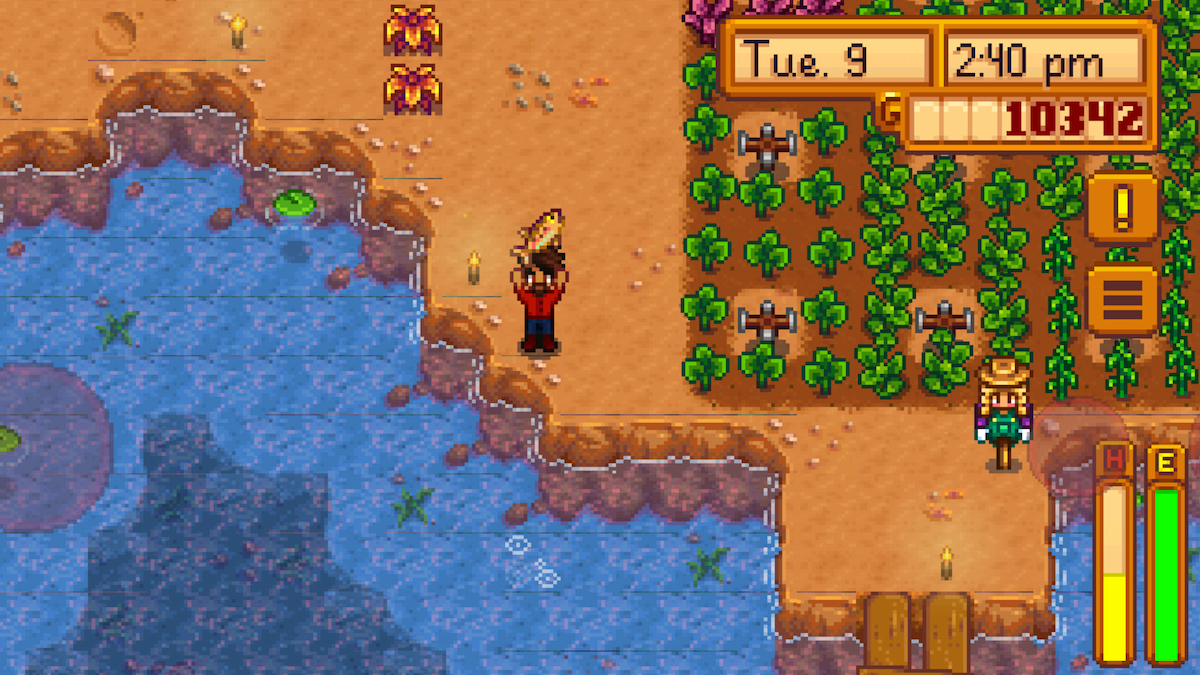 where to find rainbow trout Stardew valley